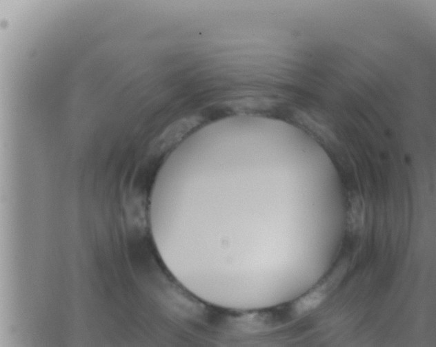 X0000062830430200601271956