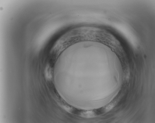 X0000062830431200601271956