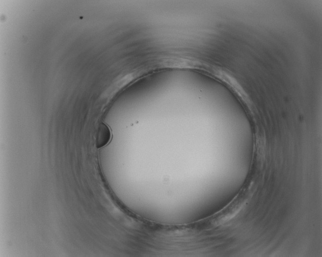 X0000062830433200601271955