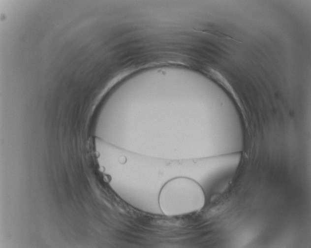 X0000062830435200601271955