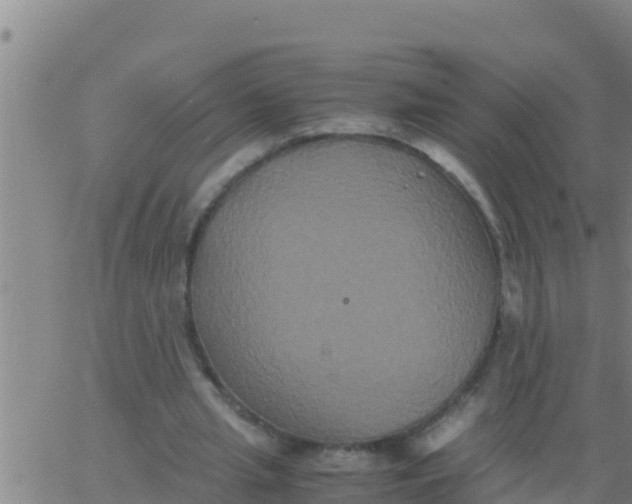 X0000062830437200601271955