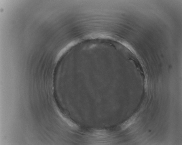 X0000062830438200601271955