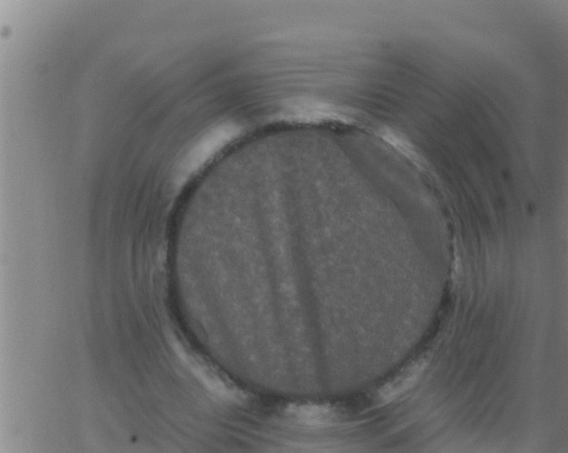 X0000062830440200601271955