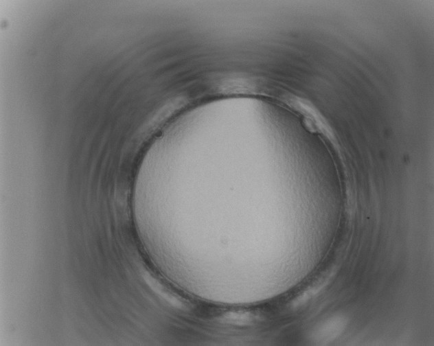 X0000062830441200601271955