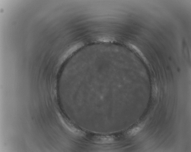 X0000062830443200601271955