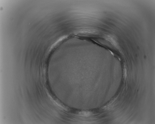 X0000062830444200601271955