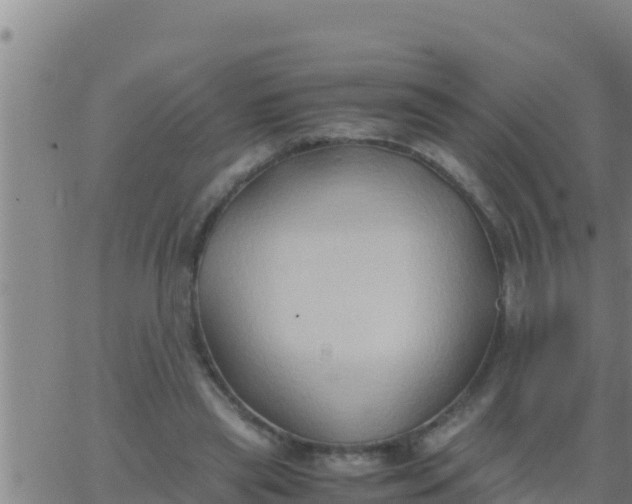 X0000062830445200601271955