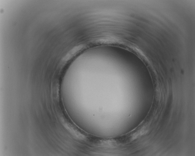 X0000062830446200601271955