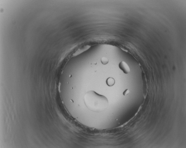 X0000062830448200601271955