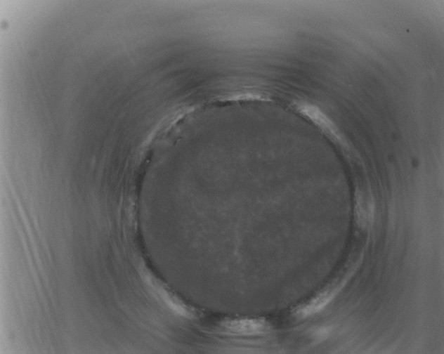 X0000062830449200601271955