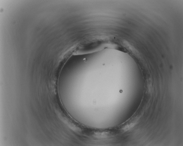 X0000062830450200601271955