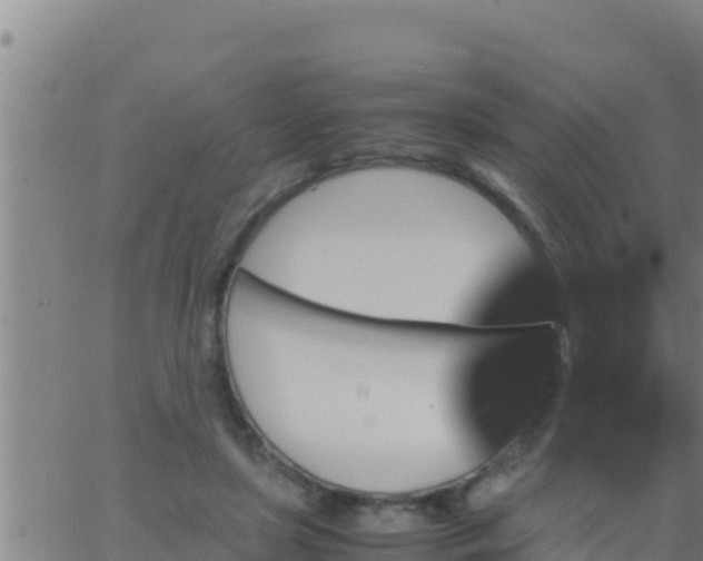 X0000062830451200601271955