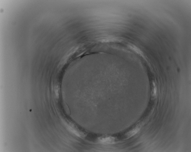 X0000062830452200601271955