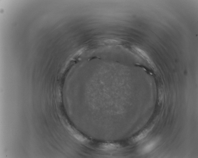 X0000062830453200601271955