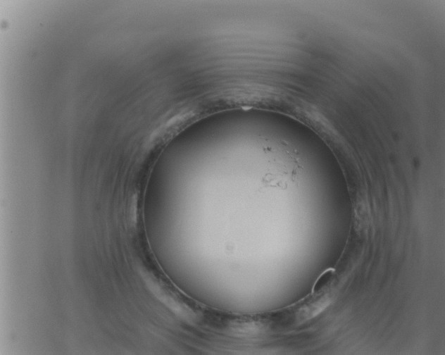 X0000062830454200601271955