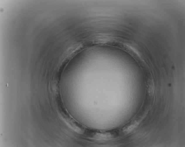 X0000062830455200601271955