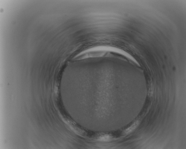 X0000062830456200601271955