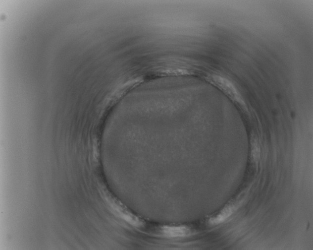 X0000062830457200601271955