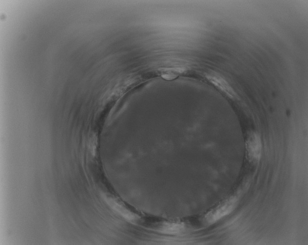 X0000062830458200601271955