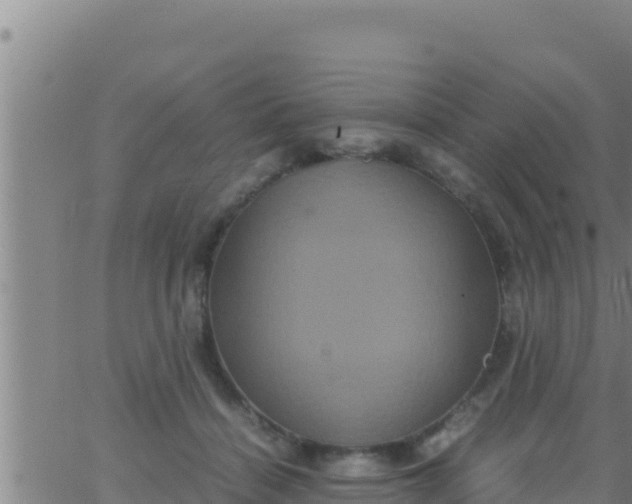 X0000062830460200601271955