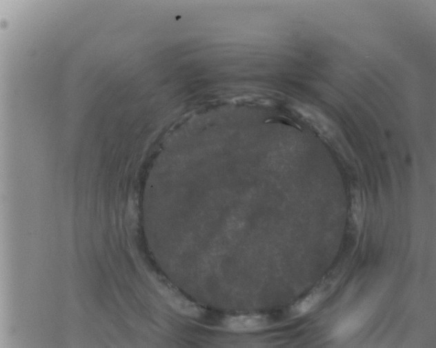 X0000062830461200601271955