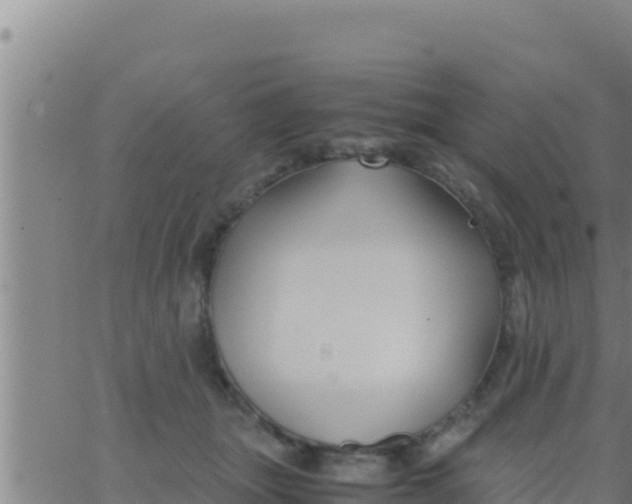 X0000062830463200601271955