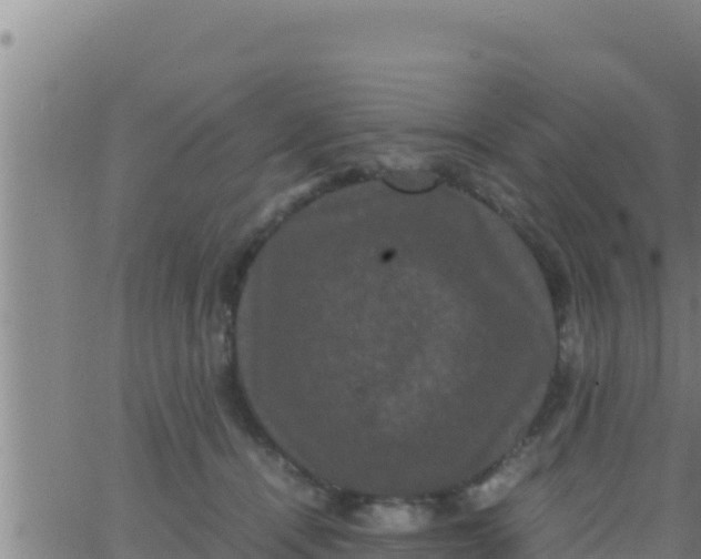 X0000062830464200601271955