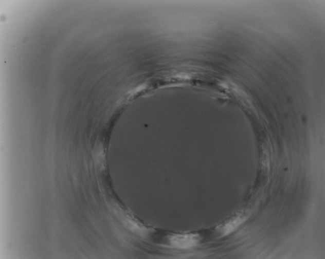 X0000062830465200601271955