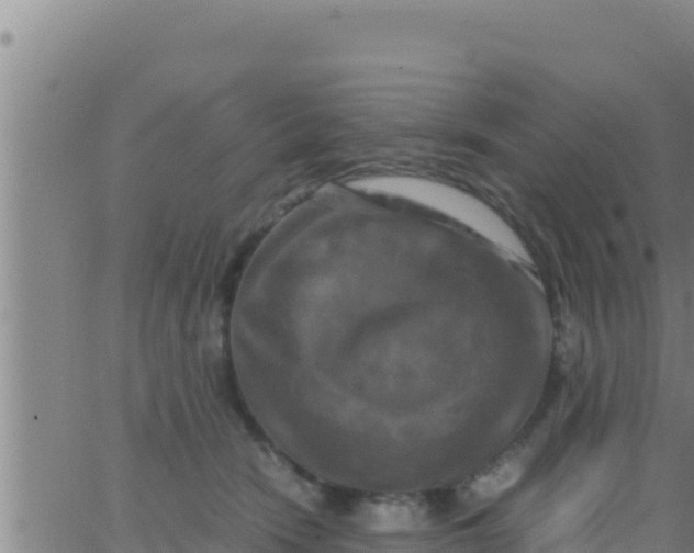 X0000062830466200601271955