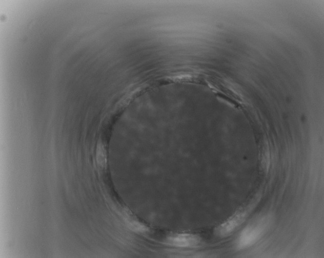 X0000062830467200601271955