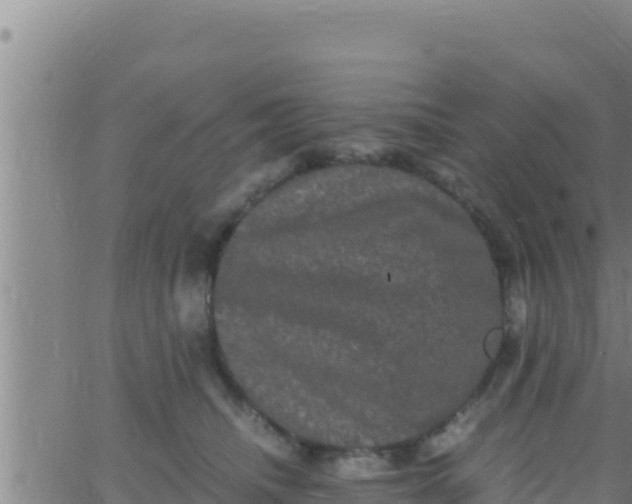 X0000062830468200601271955