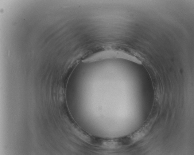 X0000062830470200601271955