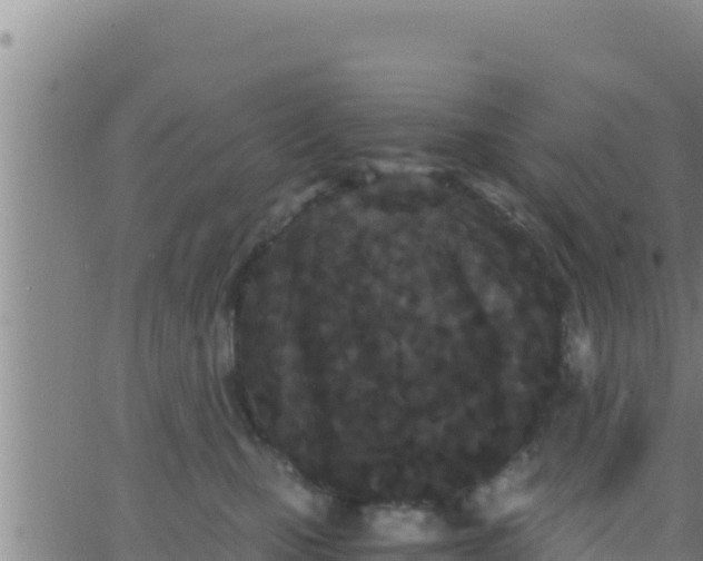 X0000062830471200601271955