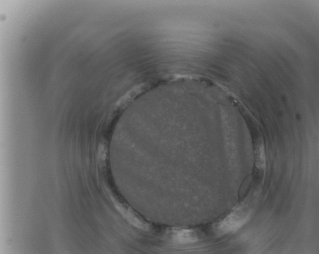 X0000062830472200601271955