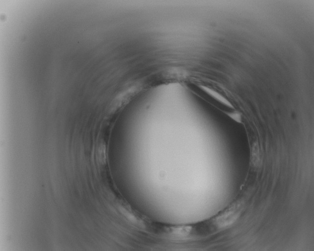 X0000062830474200601271955