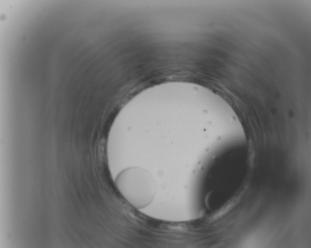 X0000062830475200601271955