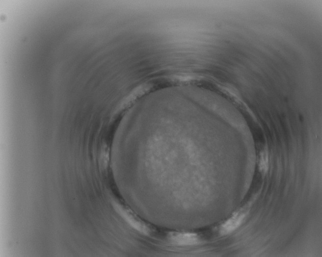 X0000062830476200601271956