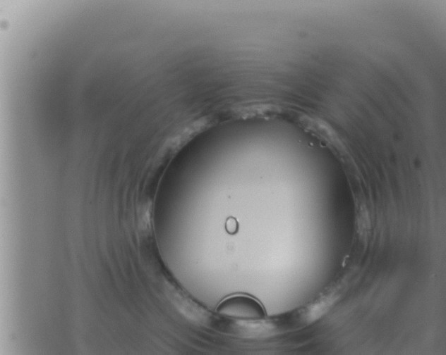 X0000062830477200601271956