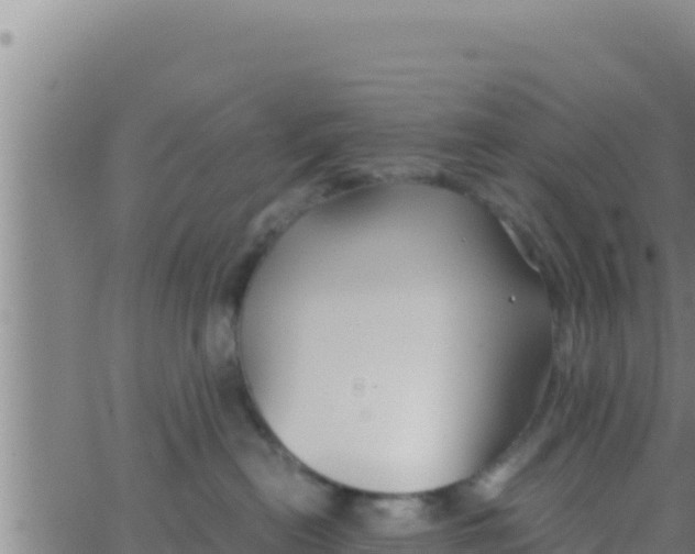 X0000062830478200601271956