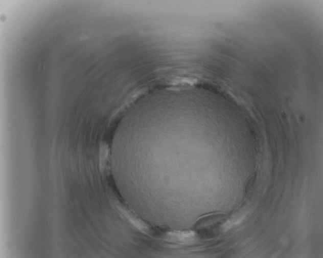 X0000062830480200601271956