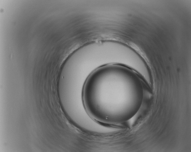 X0000062830481200601271955