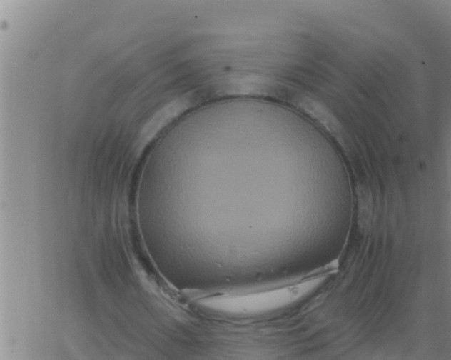 X0000062830482200601271955