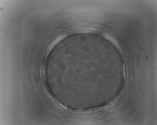 X0000062830483200601271955