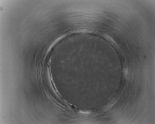 X0000062830484200601271955