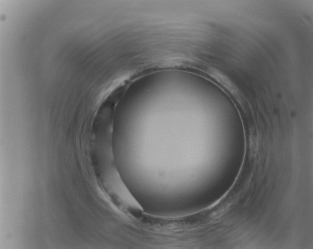 X0000062830485200601271955