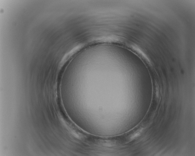 X0000062830486200601271955