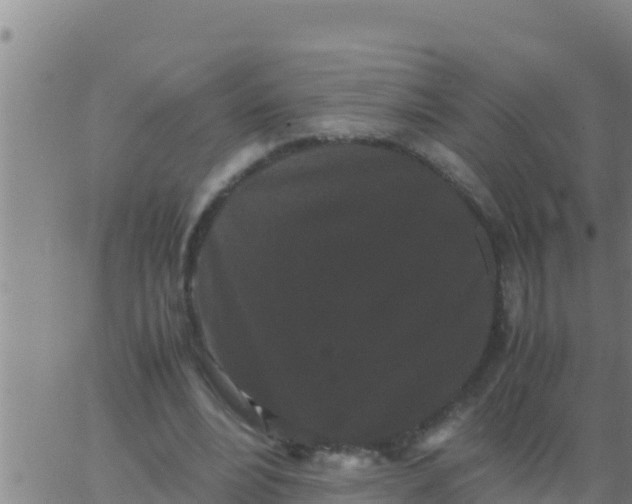 X0000062830488200601271955