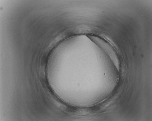 X0000062830489200601271955