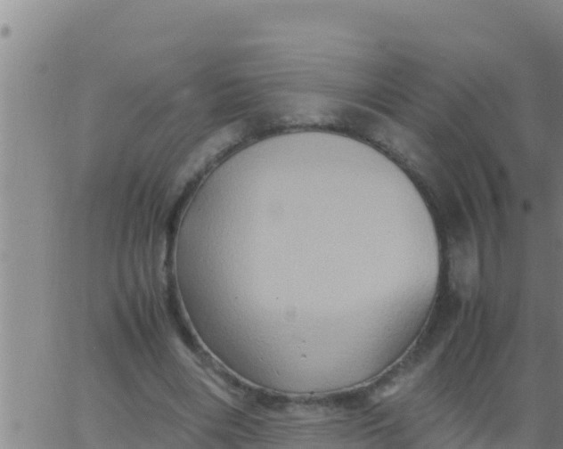 X0000062830490200601271955