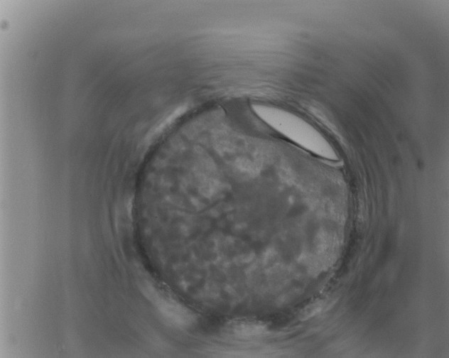 X0000062830491200601271955